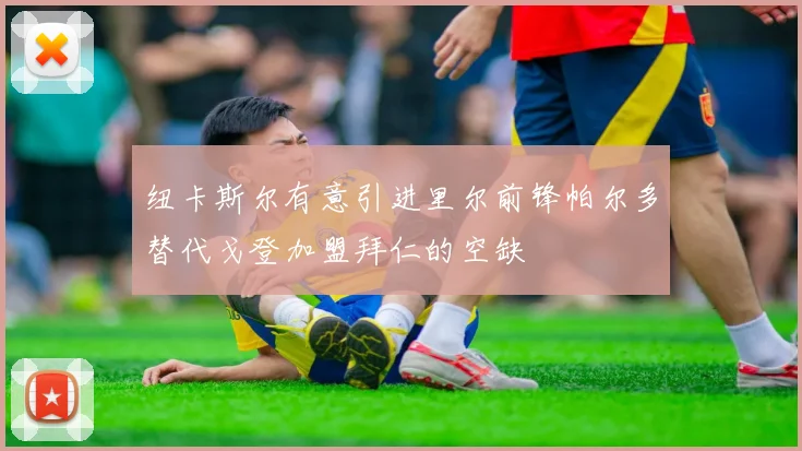 纽卡斯尔有意引进里尔前锋帕尔多替代戈登加盟拜仁的空缺