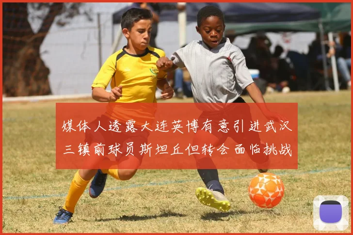 媒体人透露大连英博有意引进武汉三镇前球员斯坦丘但转会面临挑战