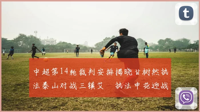 中超第14轮裁判安排揭晓甘树然执法泰山对战三镇艾堃执法申花迎战新鹏城