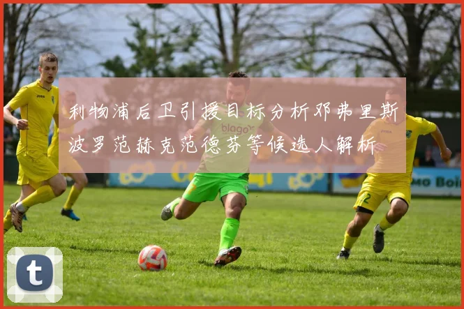利物浦后卫引援目标分析邓弗里斯波罗范赫克范德芬等候选人解析